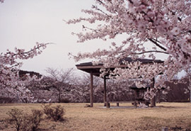 Emisawa Shizen Park