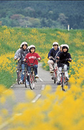 Cycling Road