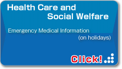 Health Care and Social Welfare