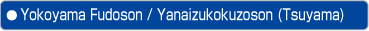 Yokoyama Fudoson / Yanaizukokuzoson (Tsuyama)