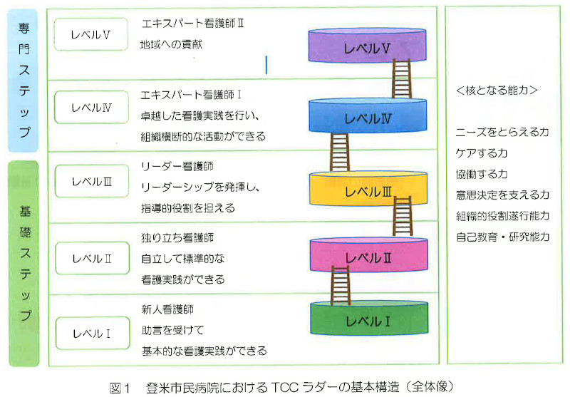 図１　登米市民病院におけるTCCラダーの基本構造（全体像）