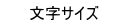 文字サイズ