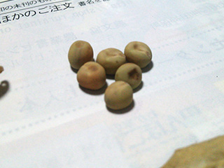 石森かき豆2