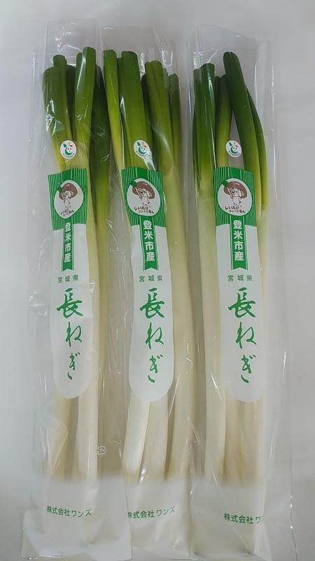 登米市産長ネギ