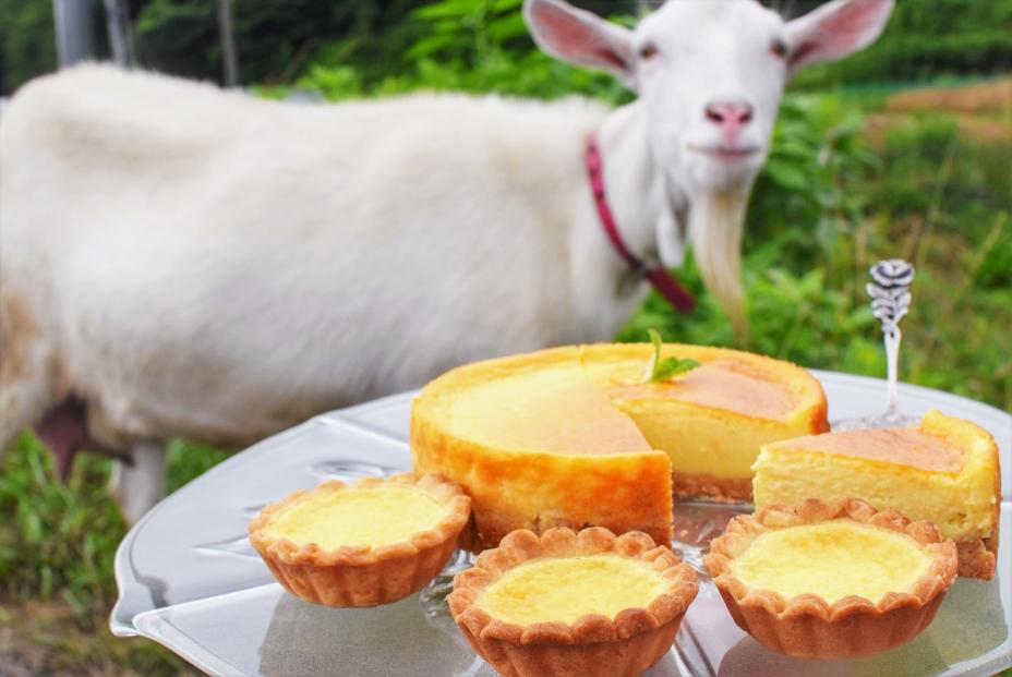 アモーケーキ