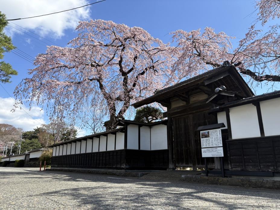 bukeyasiki0408