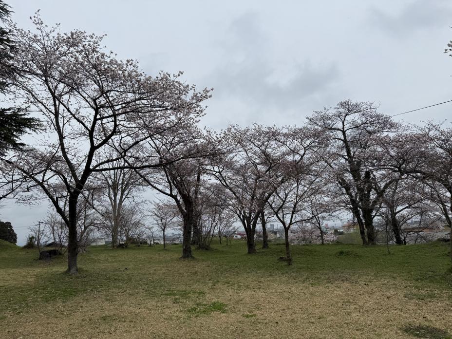 sisigajou0407
