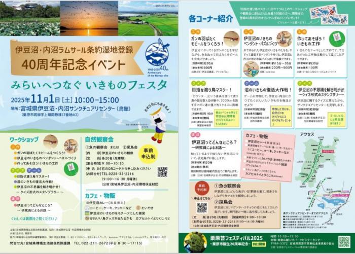 チラシ