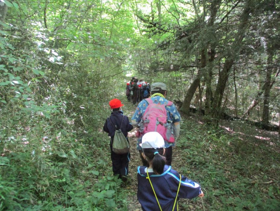 令和7年度第5回