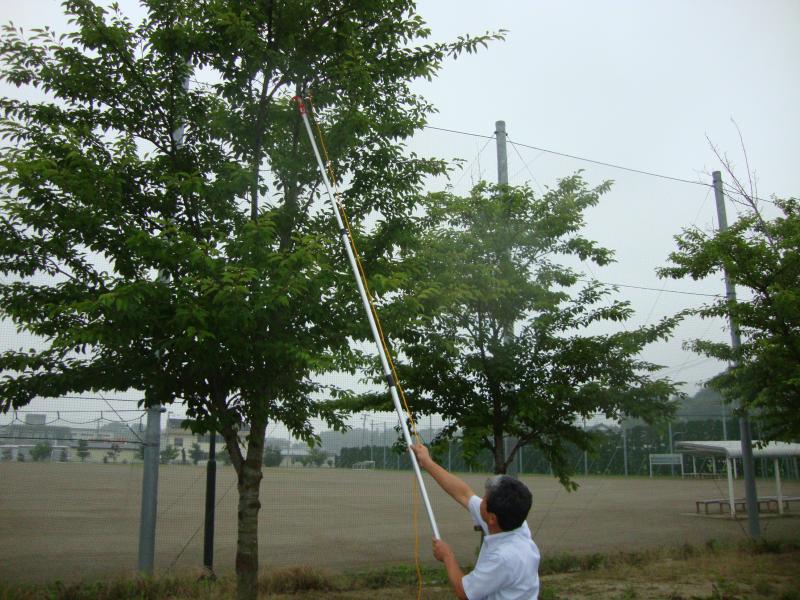 高枝切りばさみによる駆除