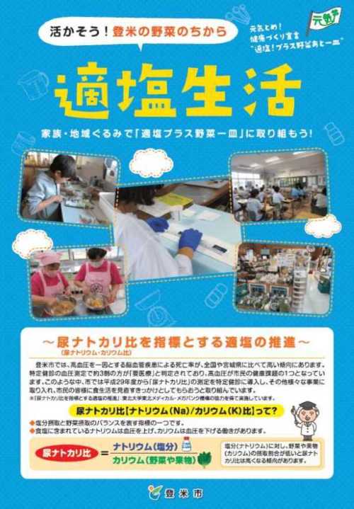 tekienseikatu_tirasi0804