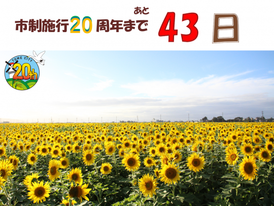 43
