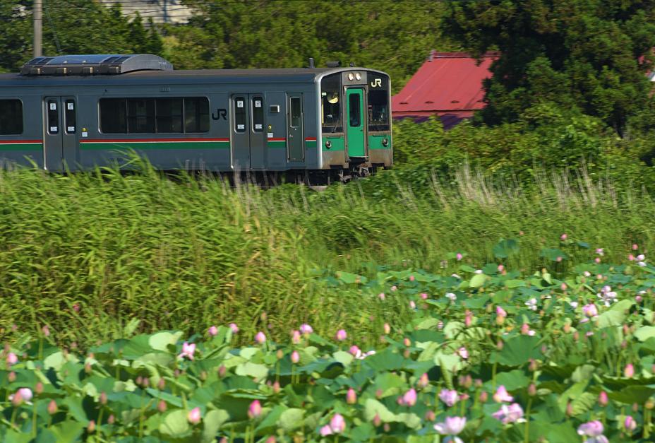 nt833