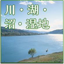 川・湖・沼・湿地