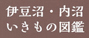 伊豆沼・内沼いきもの図鑑