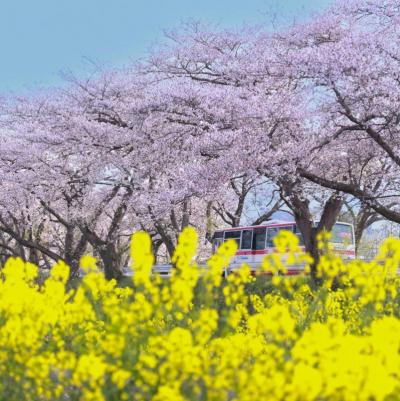 最優秀賞「暮らしと季節をつなぐ」