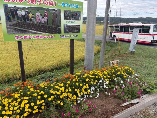 バス停にある「巻子ども会」の花だん