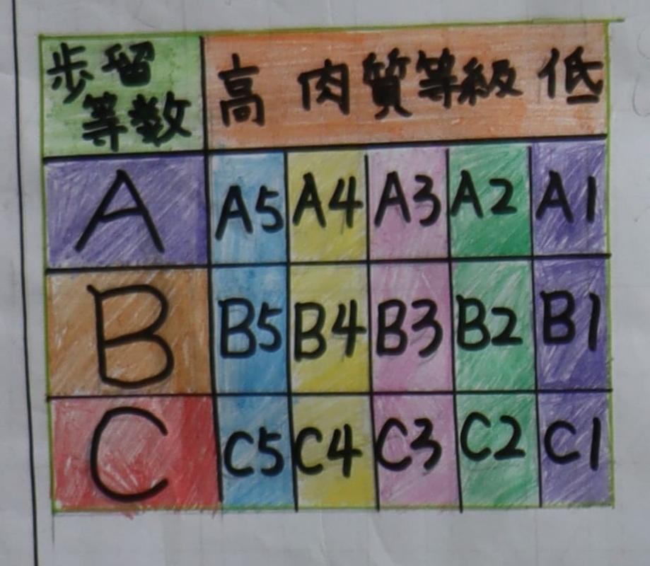 未来新聞-14