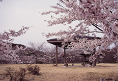 笑沢自然公園の画像