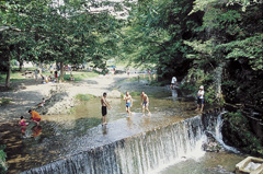 三滝堂ふれあい公園の画像