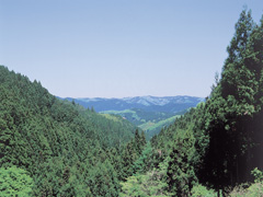 翁倉山の画像