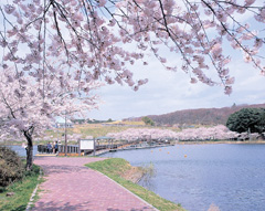 平筒沼ふれあい公園