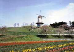 長沼フートピア公園の画像