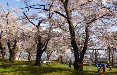 鹿ヶ城公園の画像